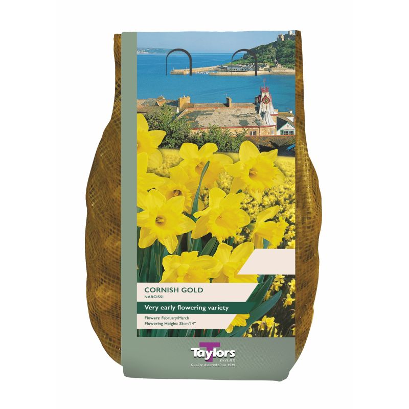 Narcissi 'Cornish Gold' - 1.5kg Carri-Pack