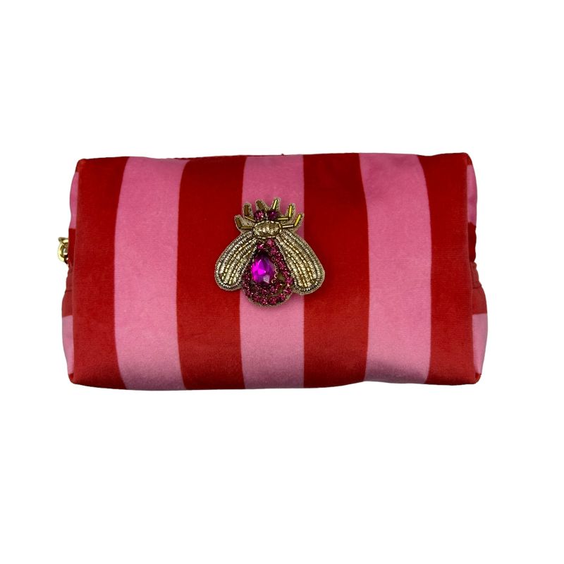 Pink Stripe Make-Up Bag & Pink Jewel Insect Brooch