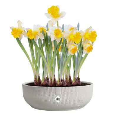 Elho Jazz Bowl 28cm - Silky White