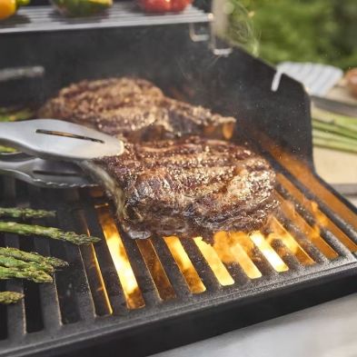 Weber Spirit E-335
