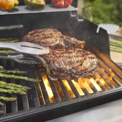 Weber Spirit E-425
