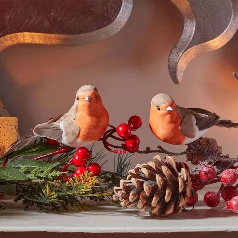 Smart Garden Robin Clip-On Ornaments (Set of 2)