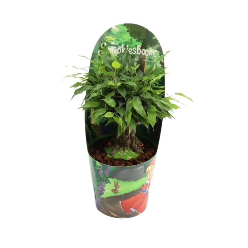 led lamp plants Vita Grow Light Bulb White Wide