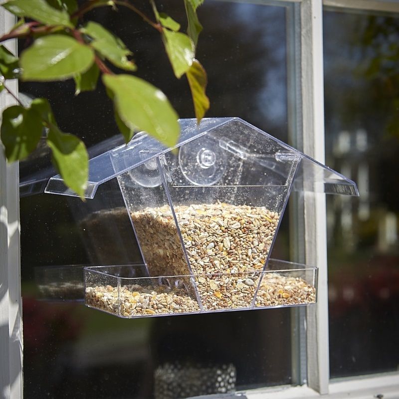 Tom Chambers Window Feeder