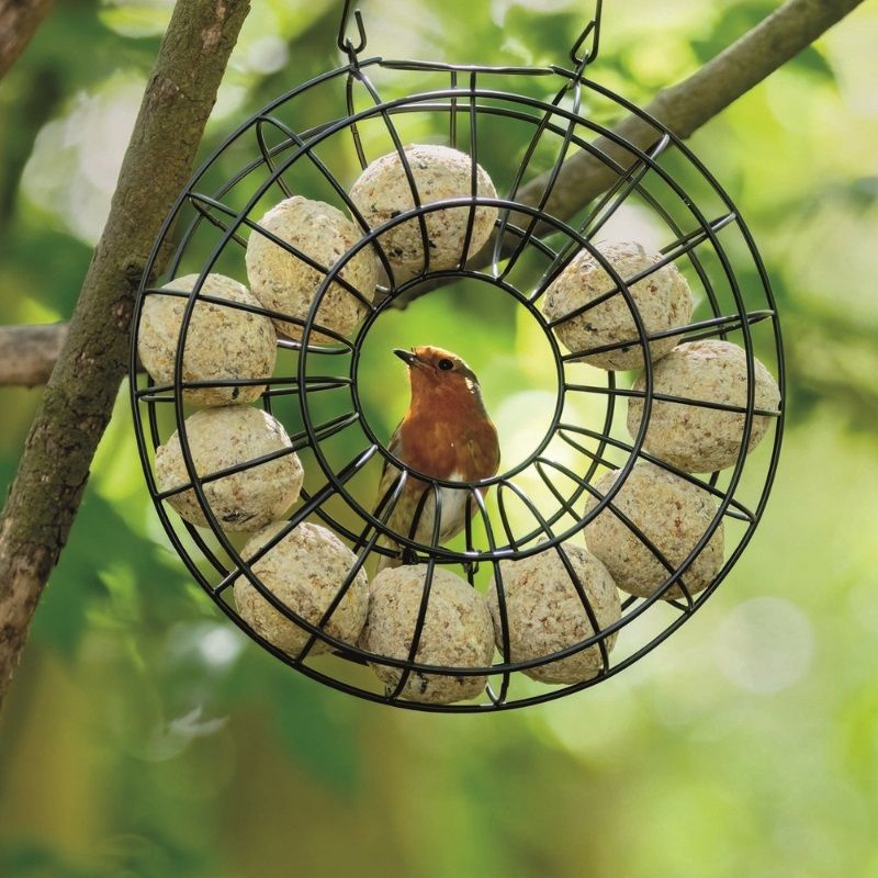 Tom Chambers Fat Ball Ring