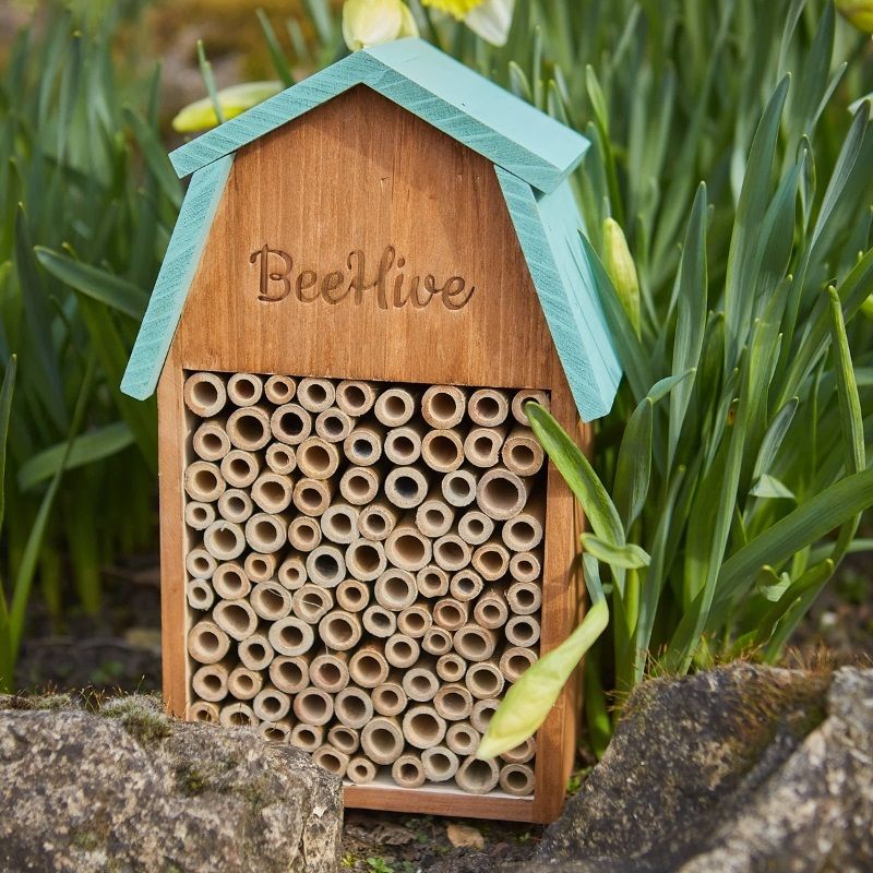 Tom Chambers Beehive