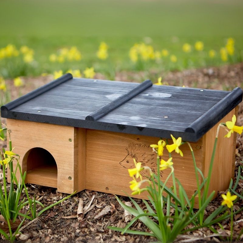 Tom Chambers Prickles Hedgehog House