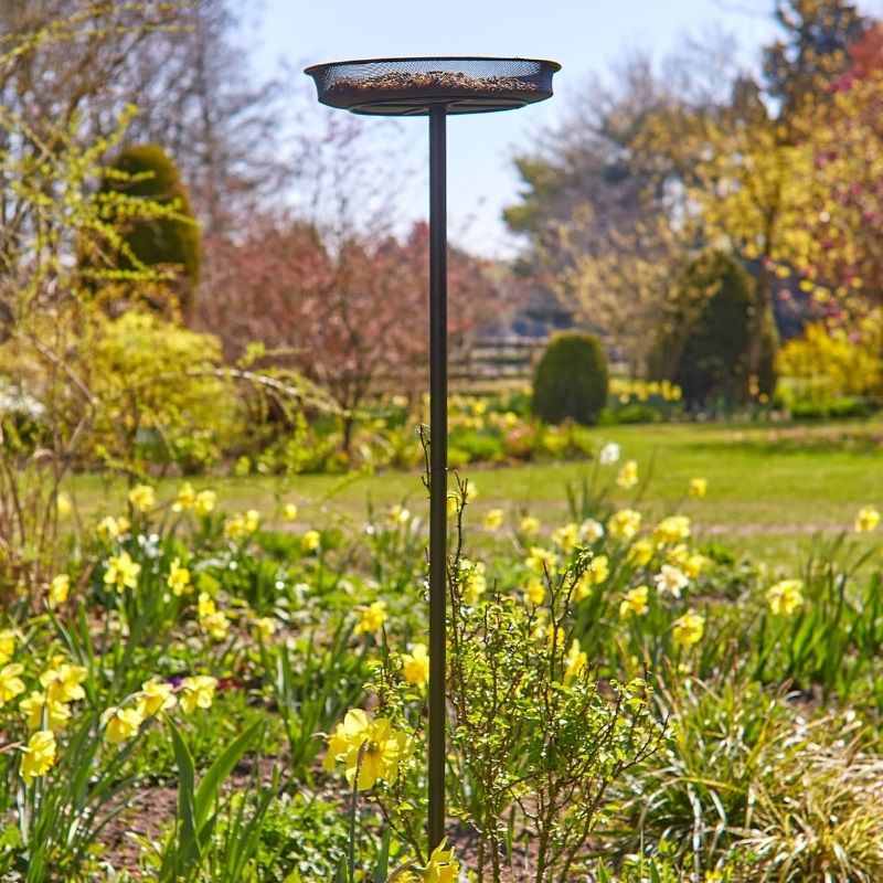 Tom Chambers Essential Seed Feeding Station