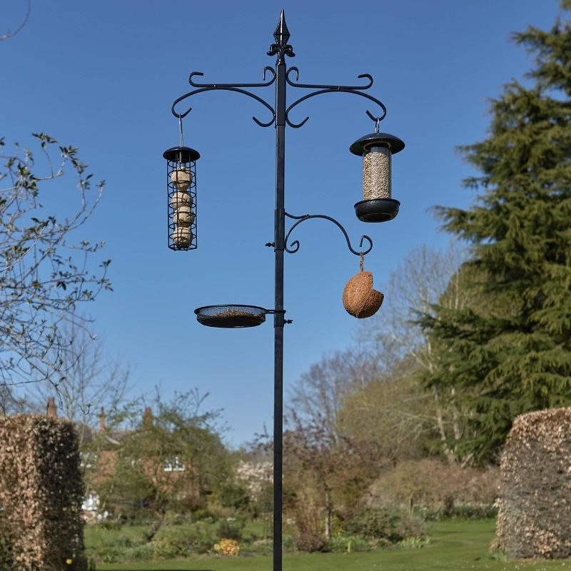 Tom Chambers Piazza Bird Station