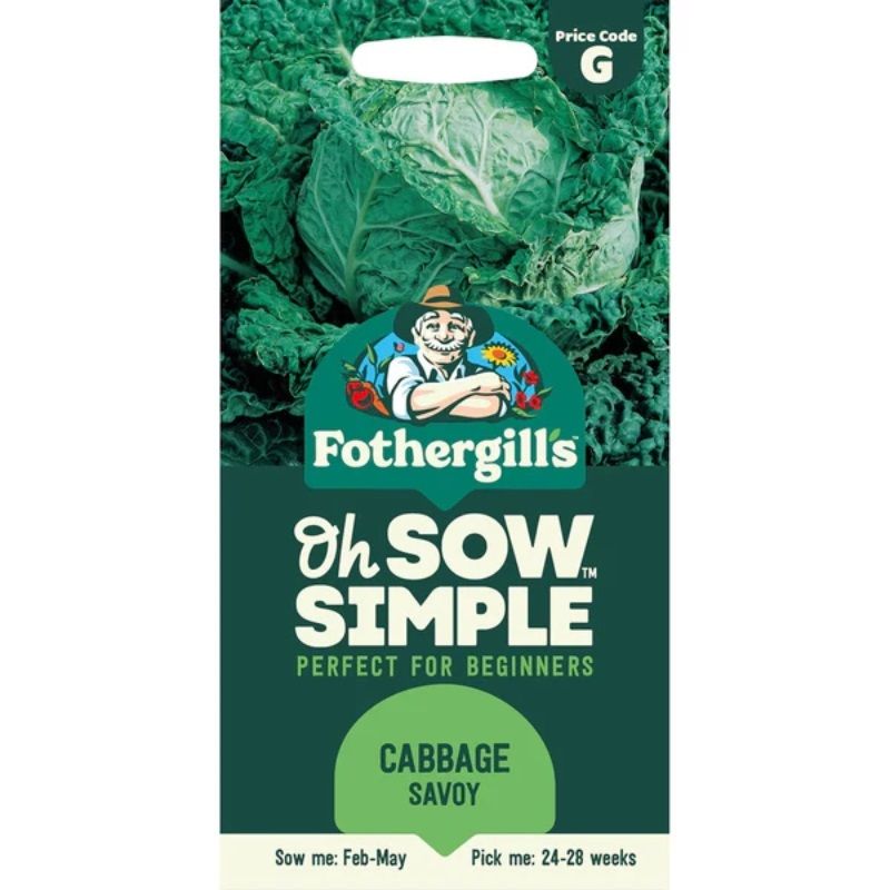 Mr Fothergill's Cabbage Savoy (Oh So Simple Range)