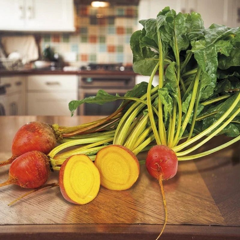 Mr Fothergill's Beetroot Golden Eye