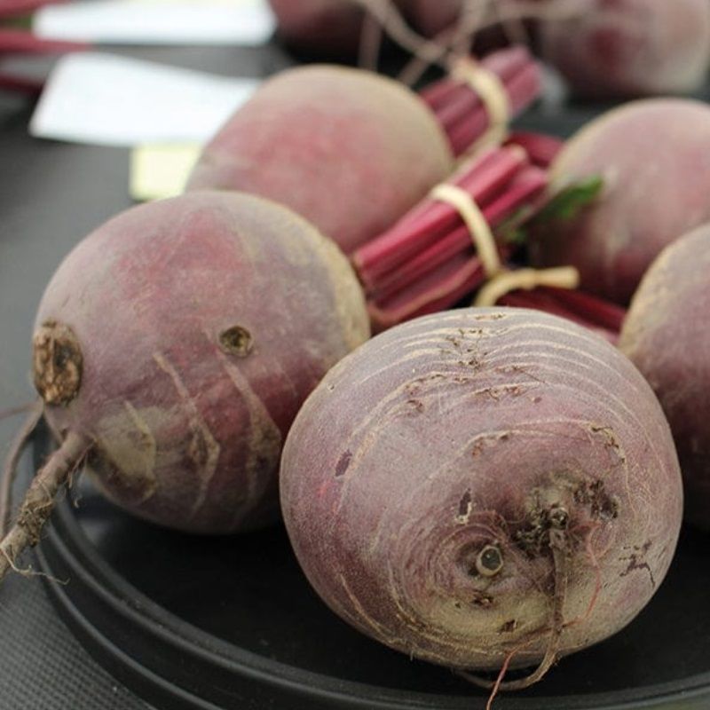 Mr Fothergill's Beetroot Pablo F1