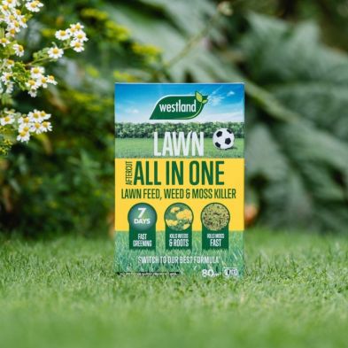 Aftercut All-in-One Lawn Feed, Weed & Moss Killer 80m²