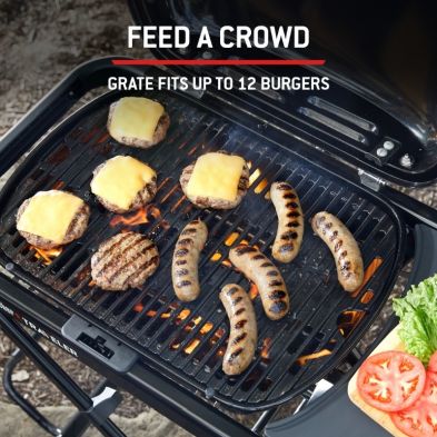 Weber Traveler Compact | Portable Gas Barbecue