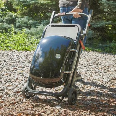Weber Traveler | Portable Gas Barbecue