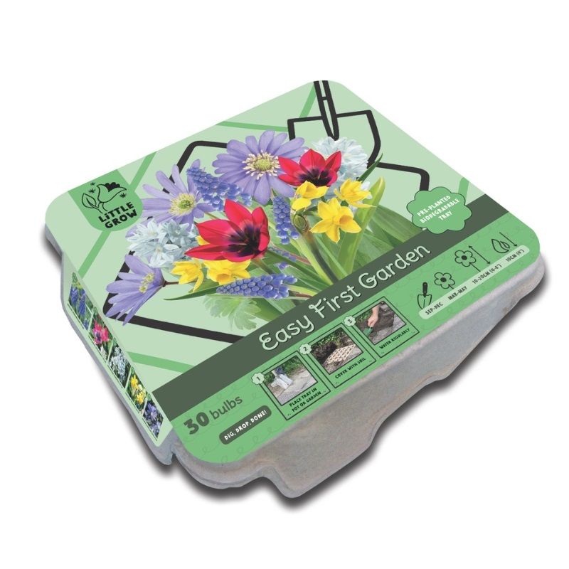 Kapiteyn Little Growers Easy First Garden (Bright Colours)