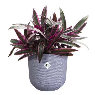 Elho Jazz Round 14cm - Lavender Lilac