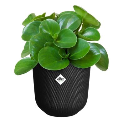Elho Jazz Round 14cm - Living Black