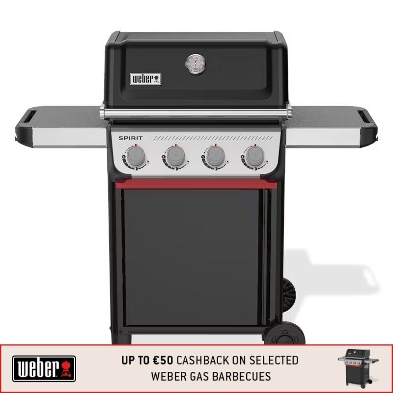 Weber Spirit E-410
