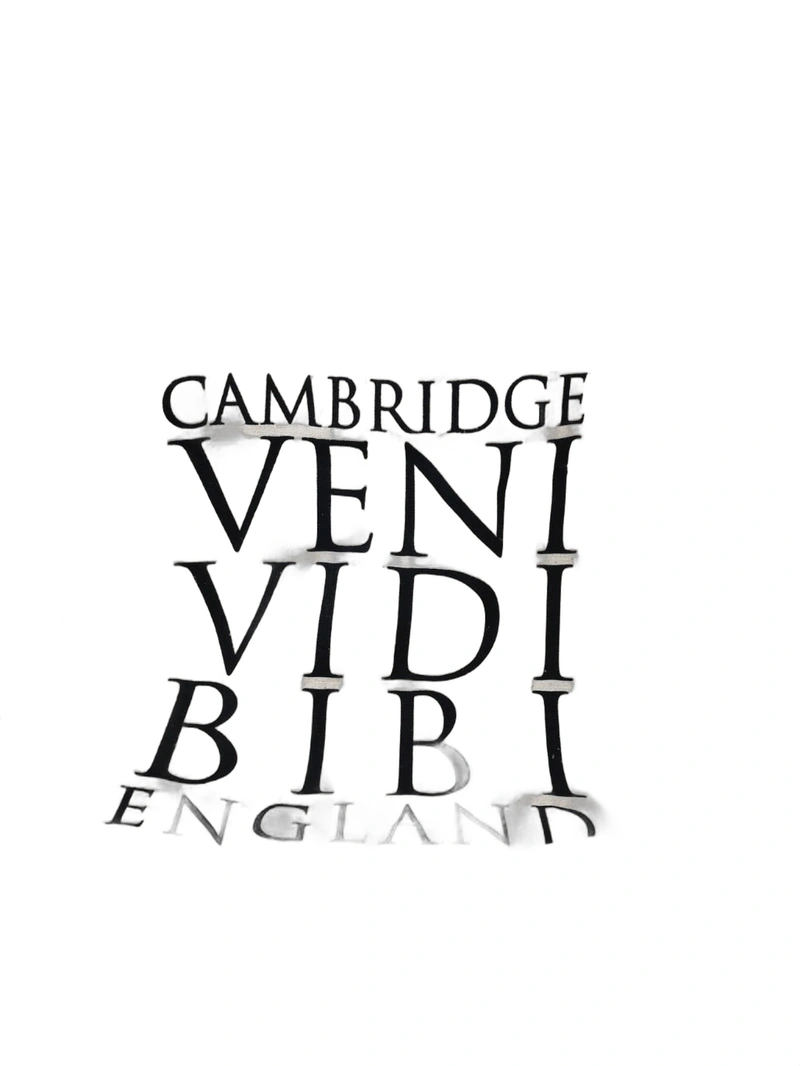 Tote Bag Veni Vivi Bibi Black 10oz