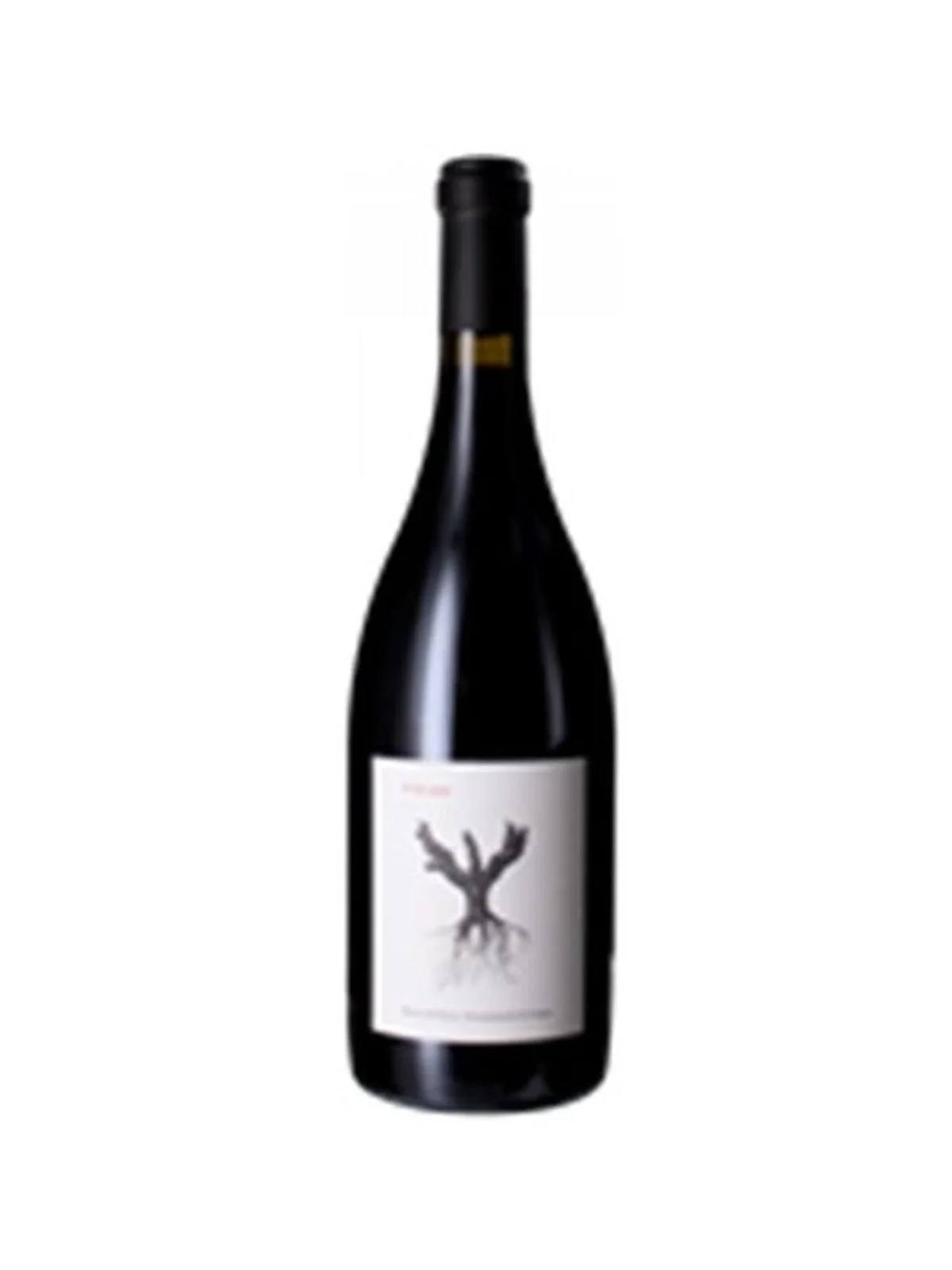 Psi Ribera del Duero 2022 Dominio del Pingus