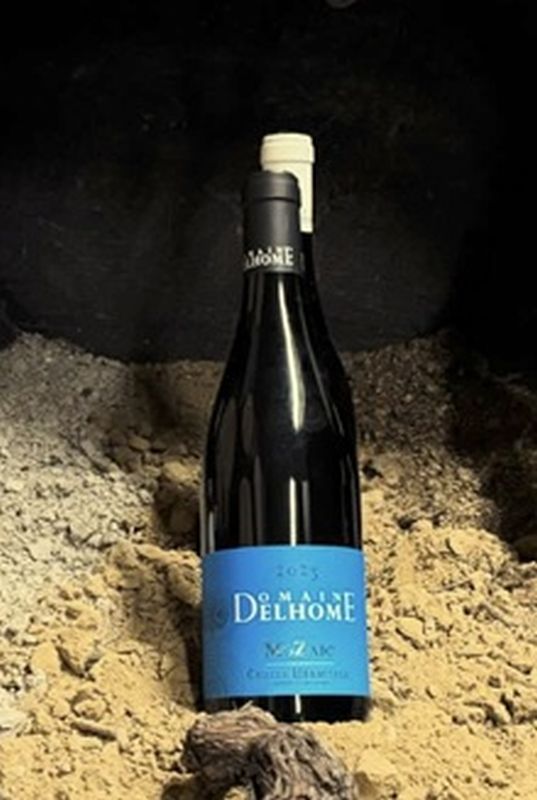 Crozes Hermitage Mozaic Rouge 2023  Dom. Delhome, Cert. Organic