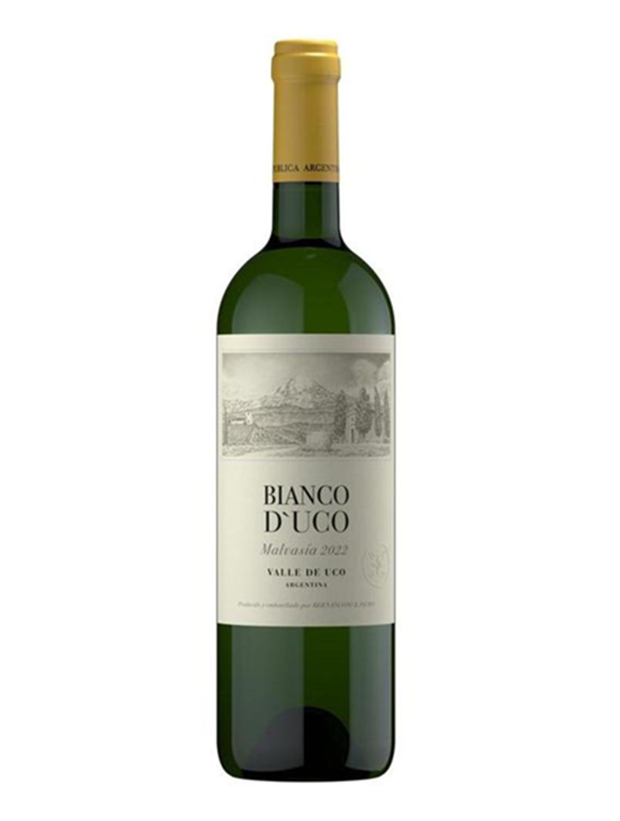 Bianco D'Uco Malvasia 2024 Valle d'Uco, Bira