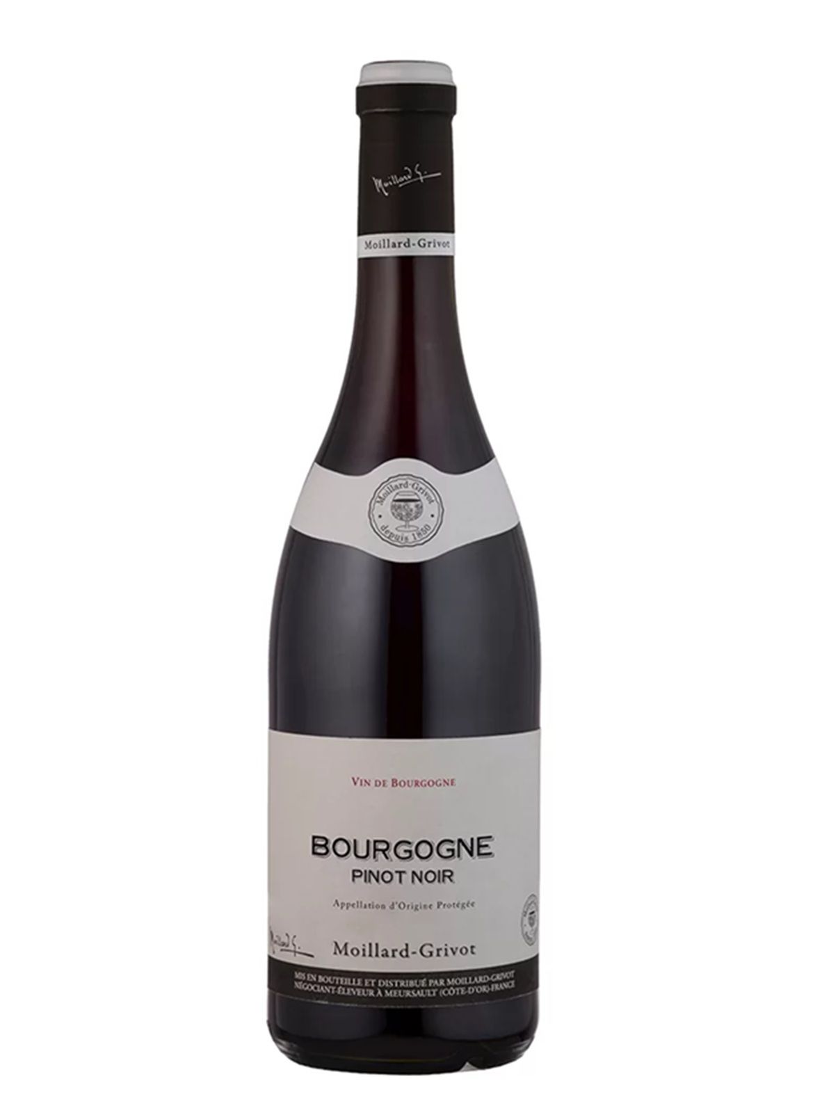 Bourgogne Pinot Noir 2025 Moillard Grivot