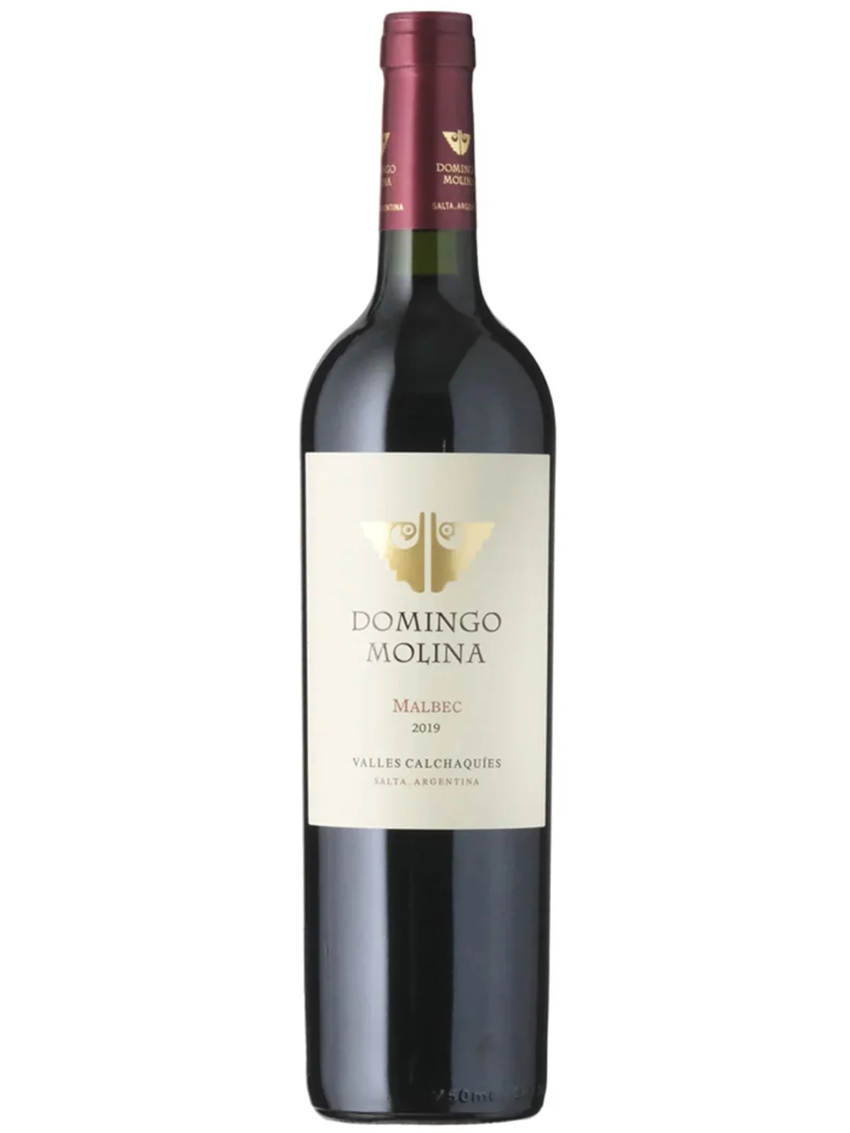 Domingo Molina Malbec 2020 Cafayete Valley