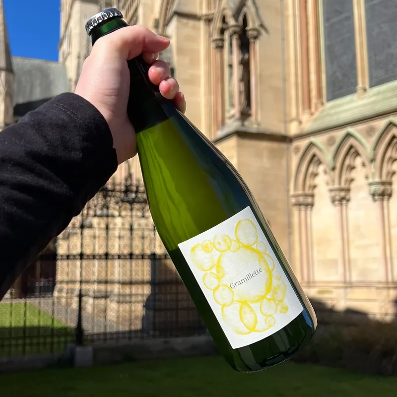 Gramillette Blanc Pet Nat 2024 Dom. Gramiller Vin de France NAS