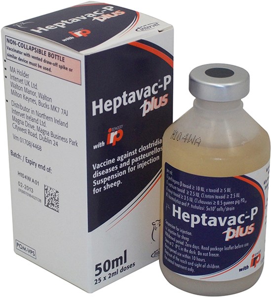 Heptavac P Plus 50ml