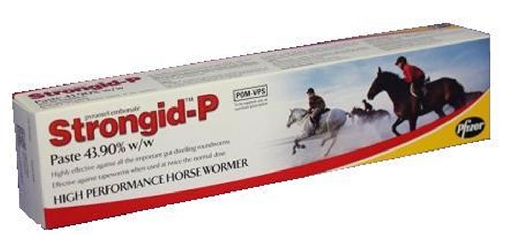 Elanco Strongid-P Paste 43.90% w/w - Single Syringe