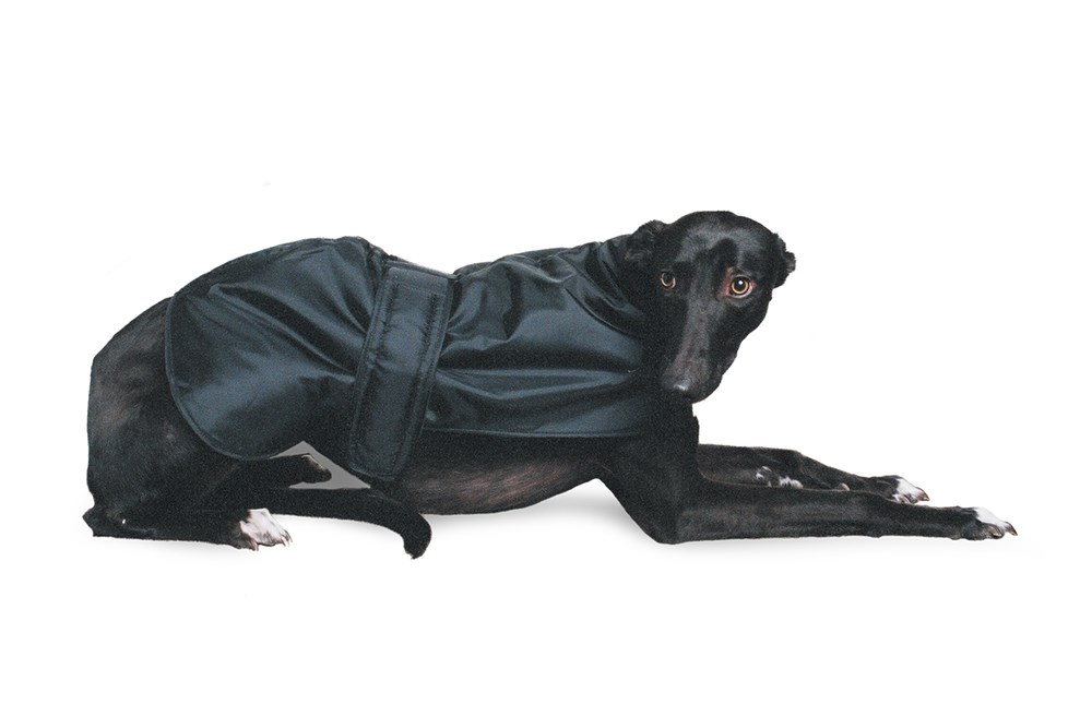 Ancol Greyhound Coat 70cm
