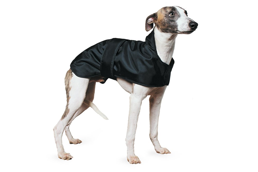 Ancol Whippet Dog Coat 43cm