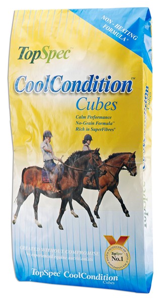 TopSpec Cool Conditioning Cubes 20kg