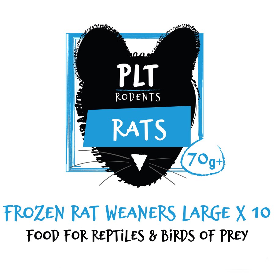 Frozen Weaner Rats - Large (70g)