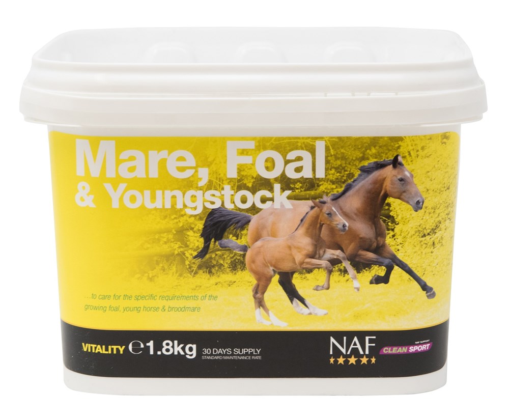 NAF Mare Foal  And Youngstock 1.8KG