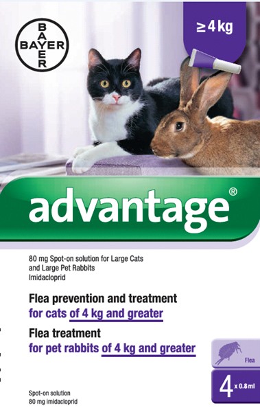 Advantage 80 Spot-on for Large Cats/Rabbits