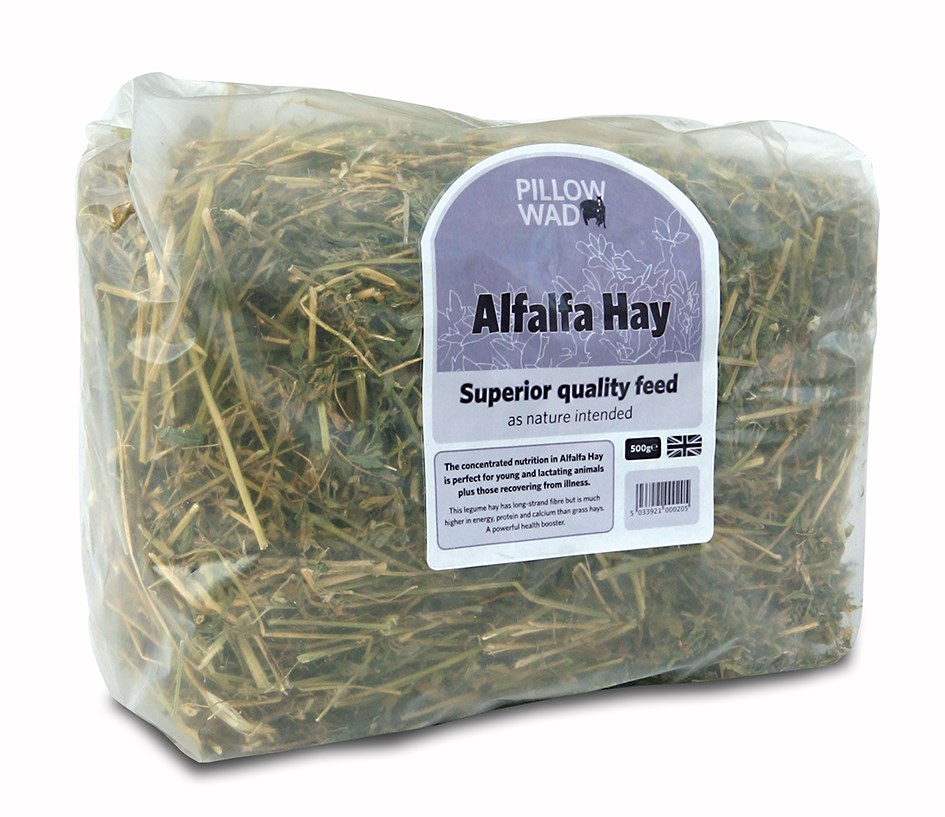 Pillow Wad Handy Alfalfa Hay Bio 1kg