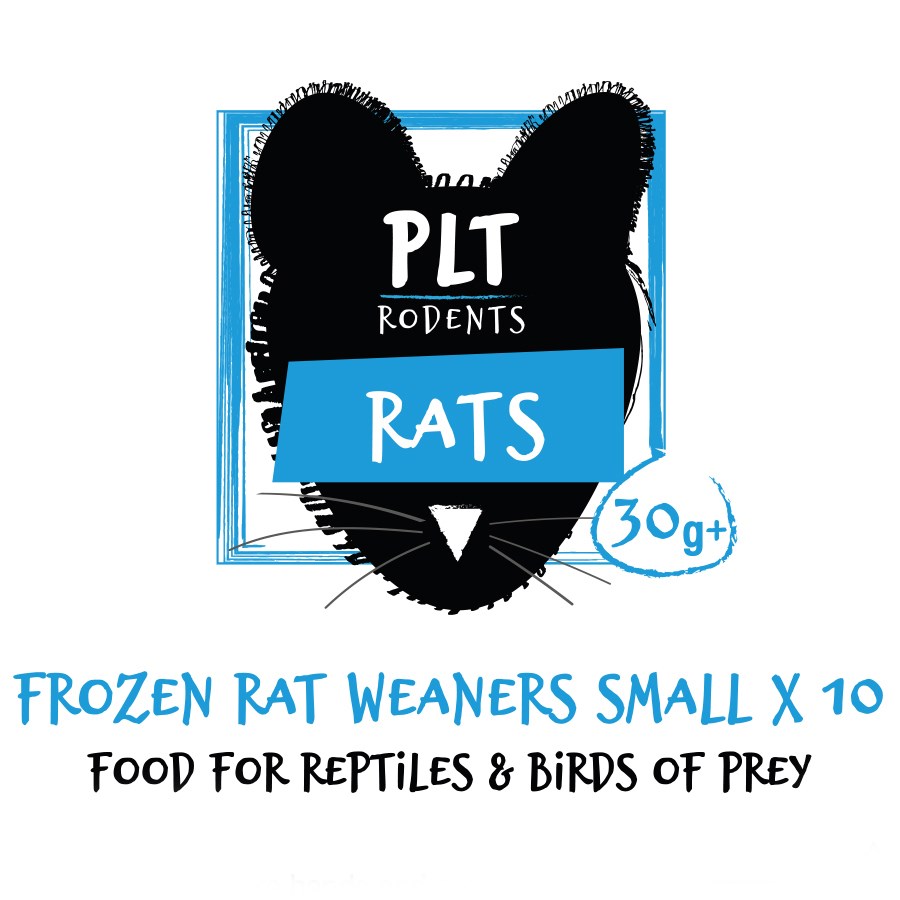 Frozen Weaner Rats - Small (30g+)