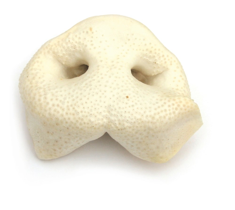 Puffed Porky Snouts Each