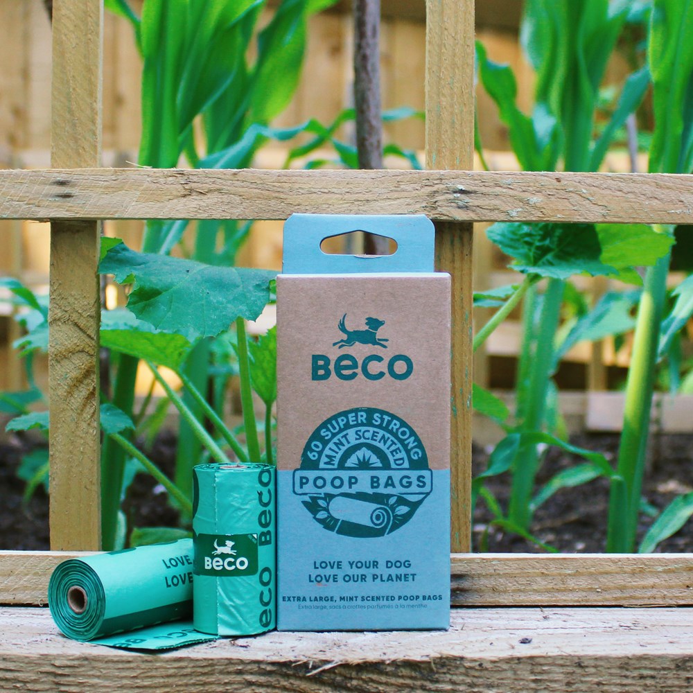 Beco Poop Bags, Mint Scented, 60 Pack, Big, Strong and Leak-Proof