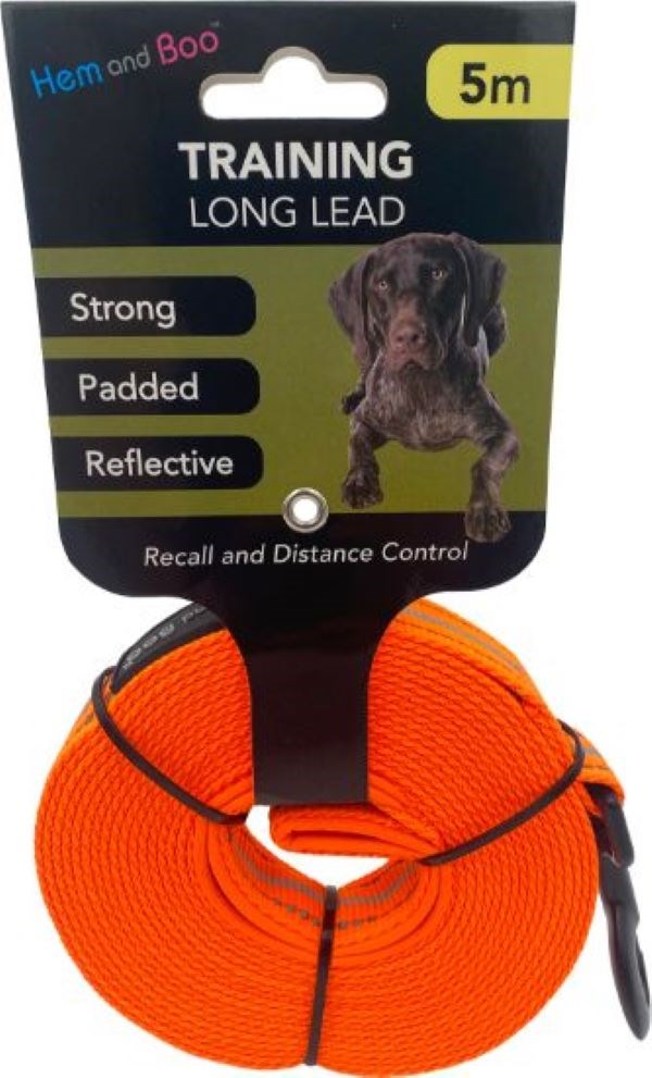 Training Long Lead Reflective Orange 5m x 25mm