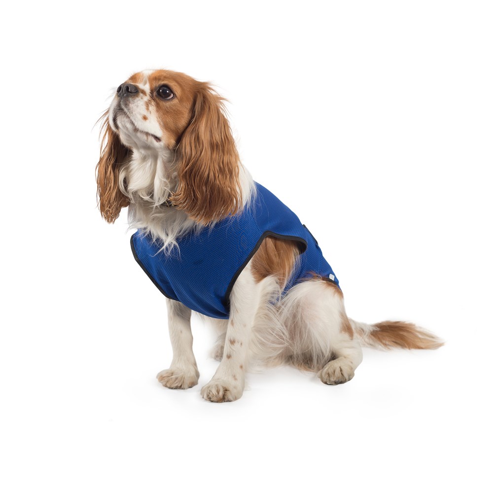 Pet Cooling Coat 25cm X-Small