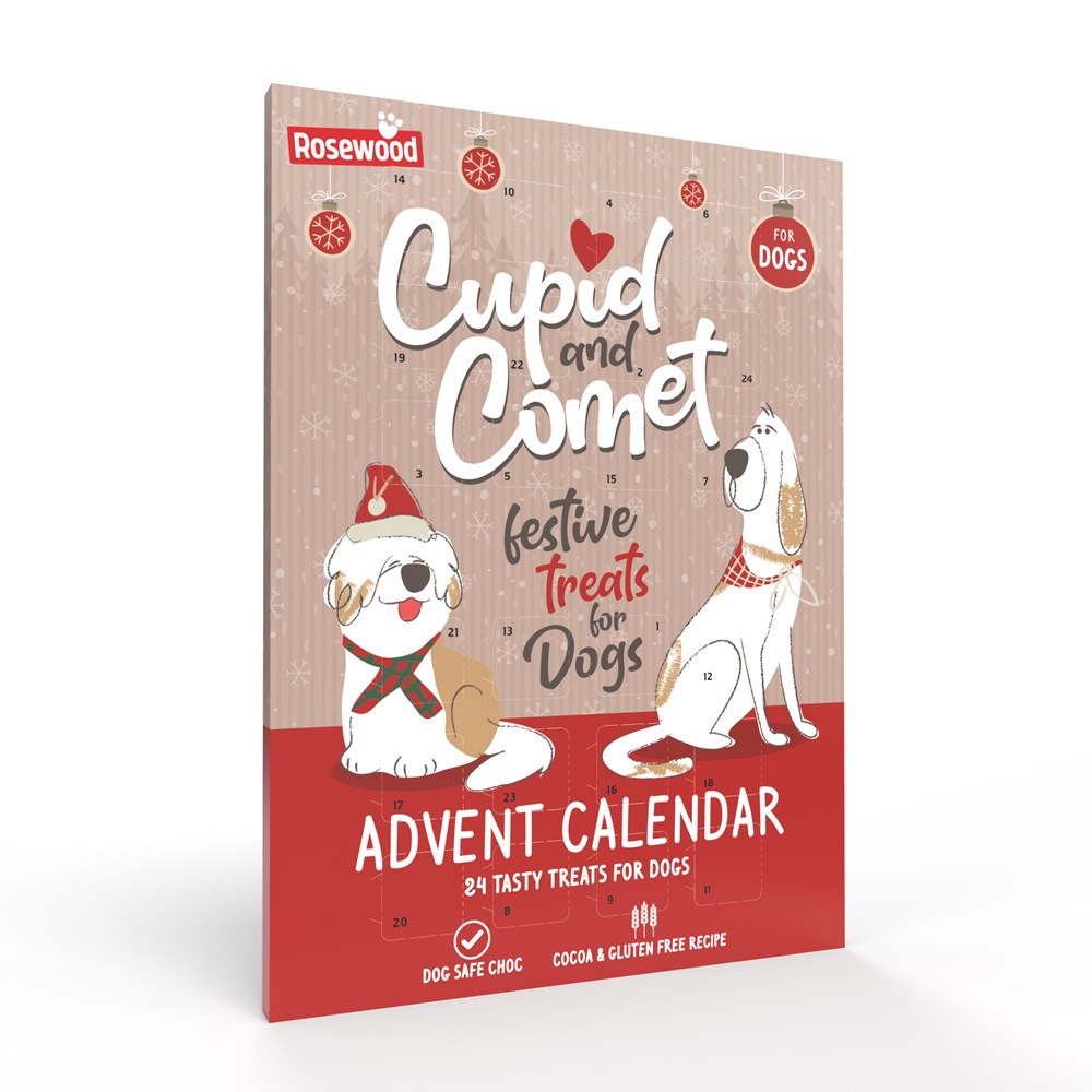 Advent Calendar For Dogs 70g