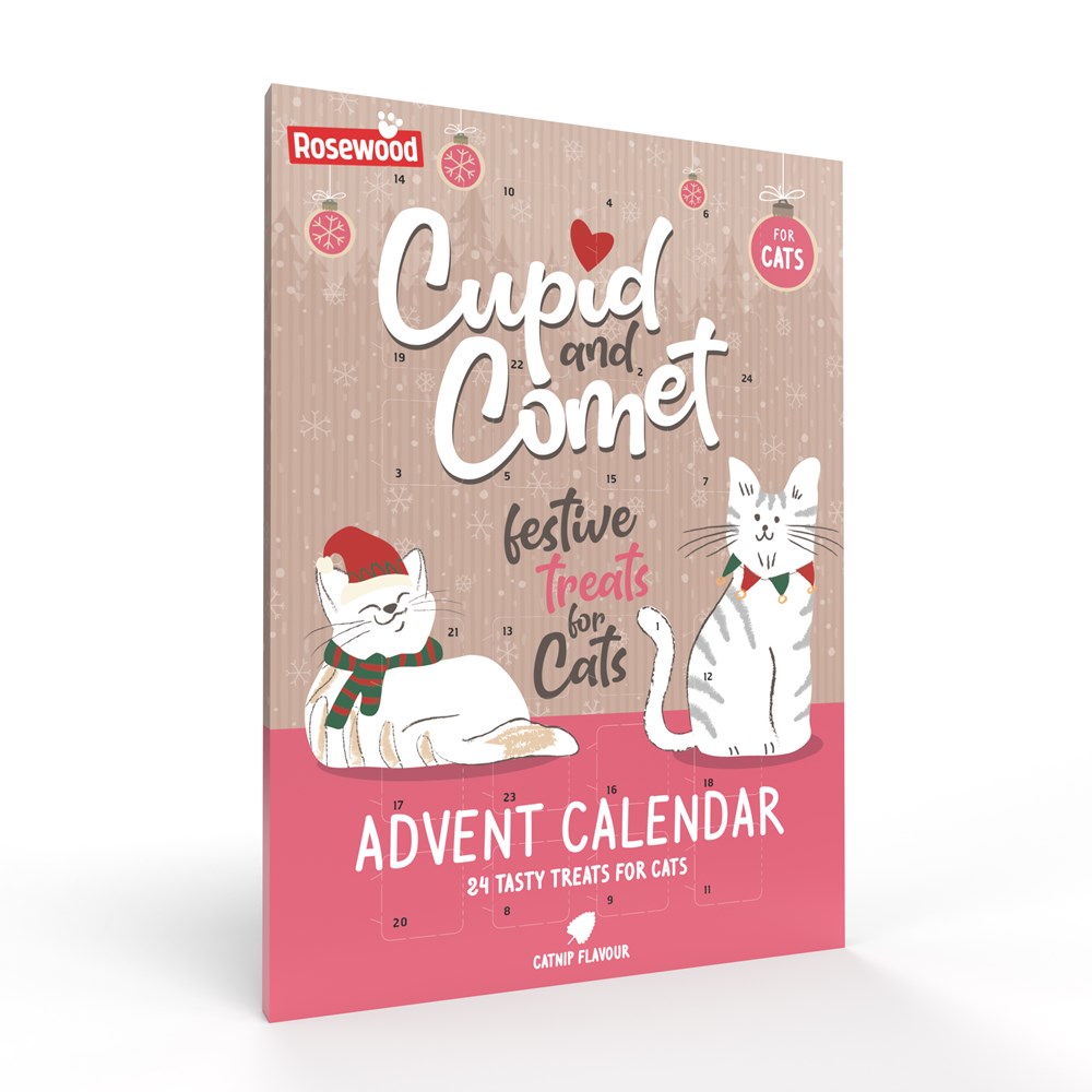 Advent Calendar For Cats 70g