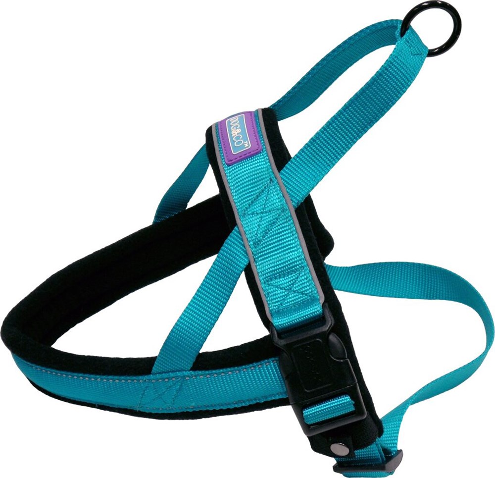 Reflective And Padded Harness Aqua 0.75inch x Chest 20-24inch