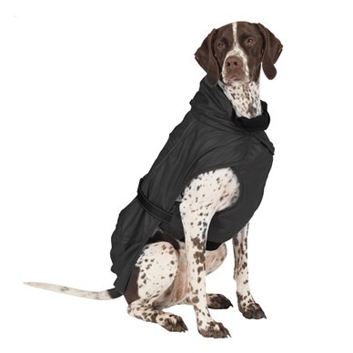 Dog Coats and Clothing