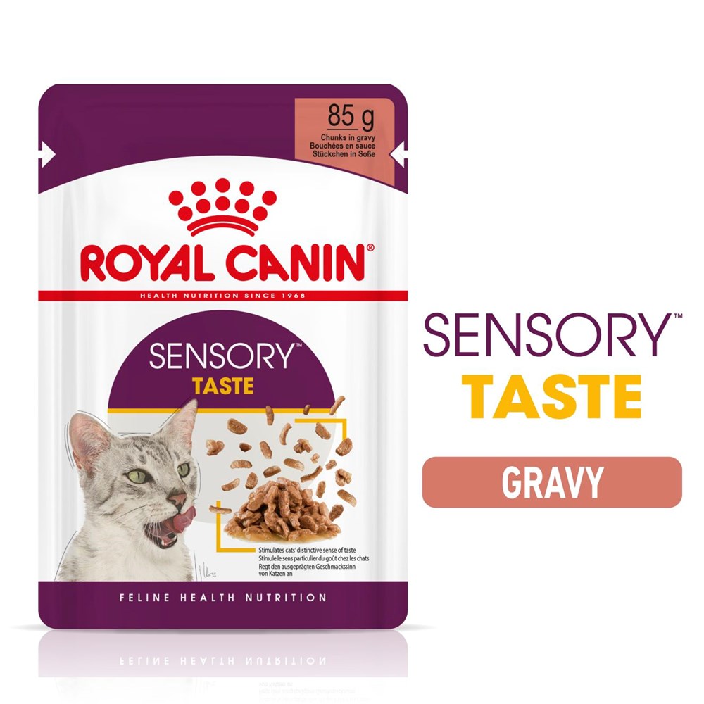 Royal Canin Sensory Taste In Gravy Adult Wet Cat Food 12 x 85g