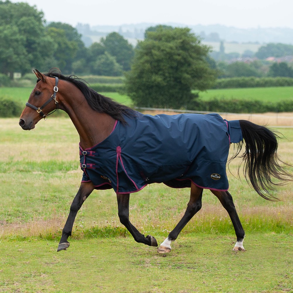 Gallop Trojan 50g Turnout 600D Standard Rug 5'9